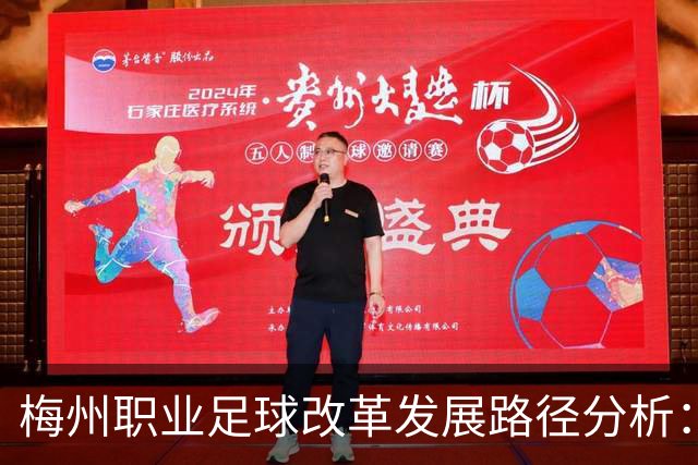 梅州职业足球改革发展路径分析：应对困境的策略与展望